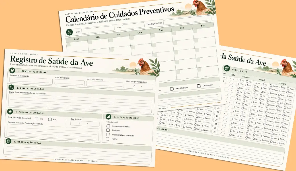 Suplementos para galinhas: potes e frascos de produtos prontos
