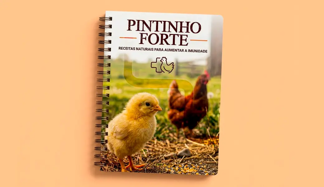 Receitas naturais para deixar os pintinhos mais fortes