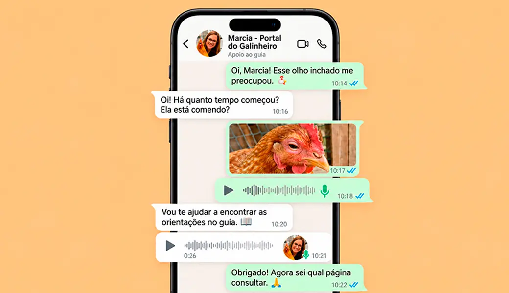 Plantão de Dúvidas pelo WhatsApp: ajuda para consultar as orientações do guia